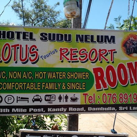 Lotus Inn Tourist Resort Dambulla Esterno foto