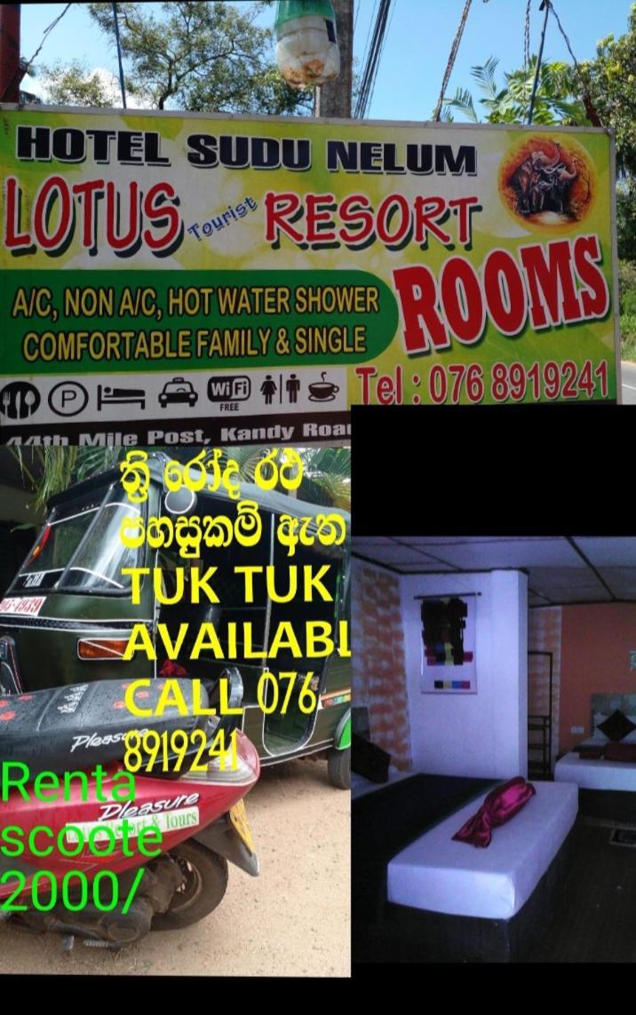 Lotus Inn Tourist Resort Dambulla Esterno foto