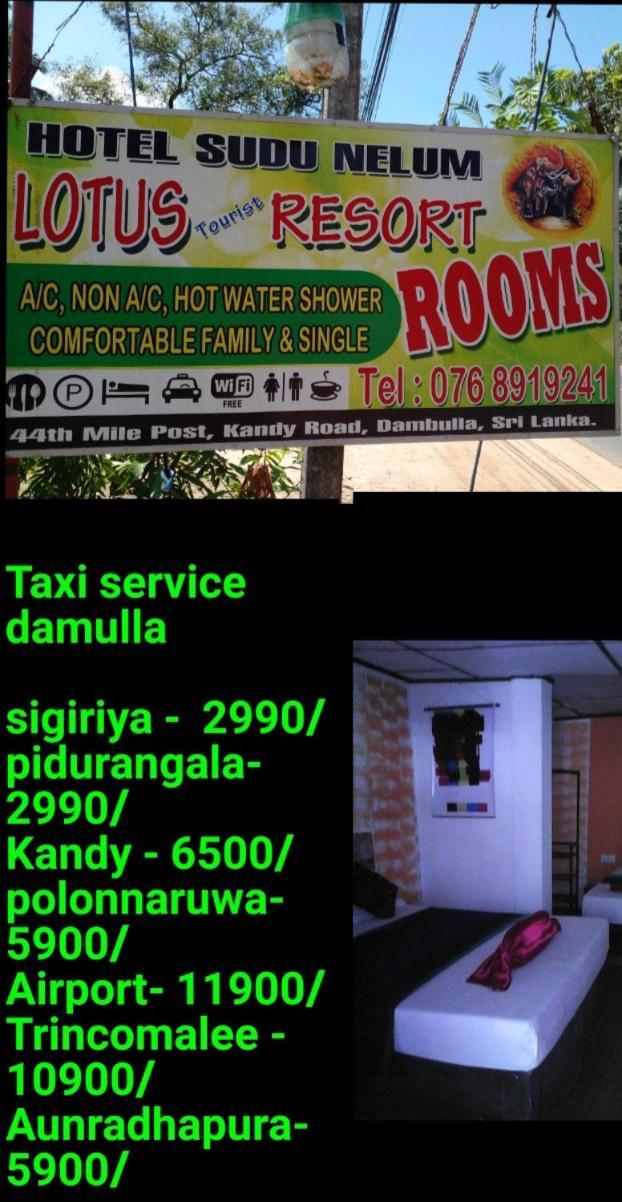 Lotus Inn Tourist Resort Dambulla Esterno foto