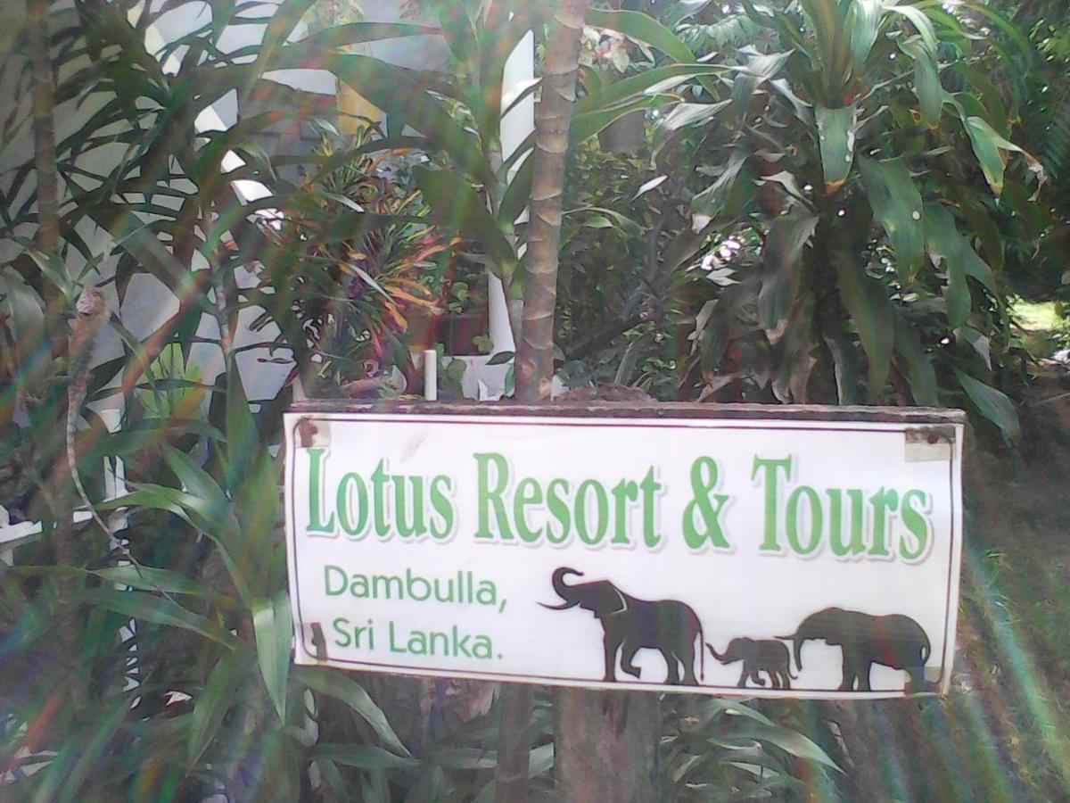 Lotus Inn Tourist Resort Dambulla Esterno foto