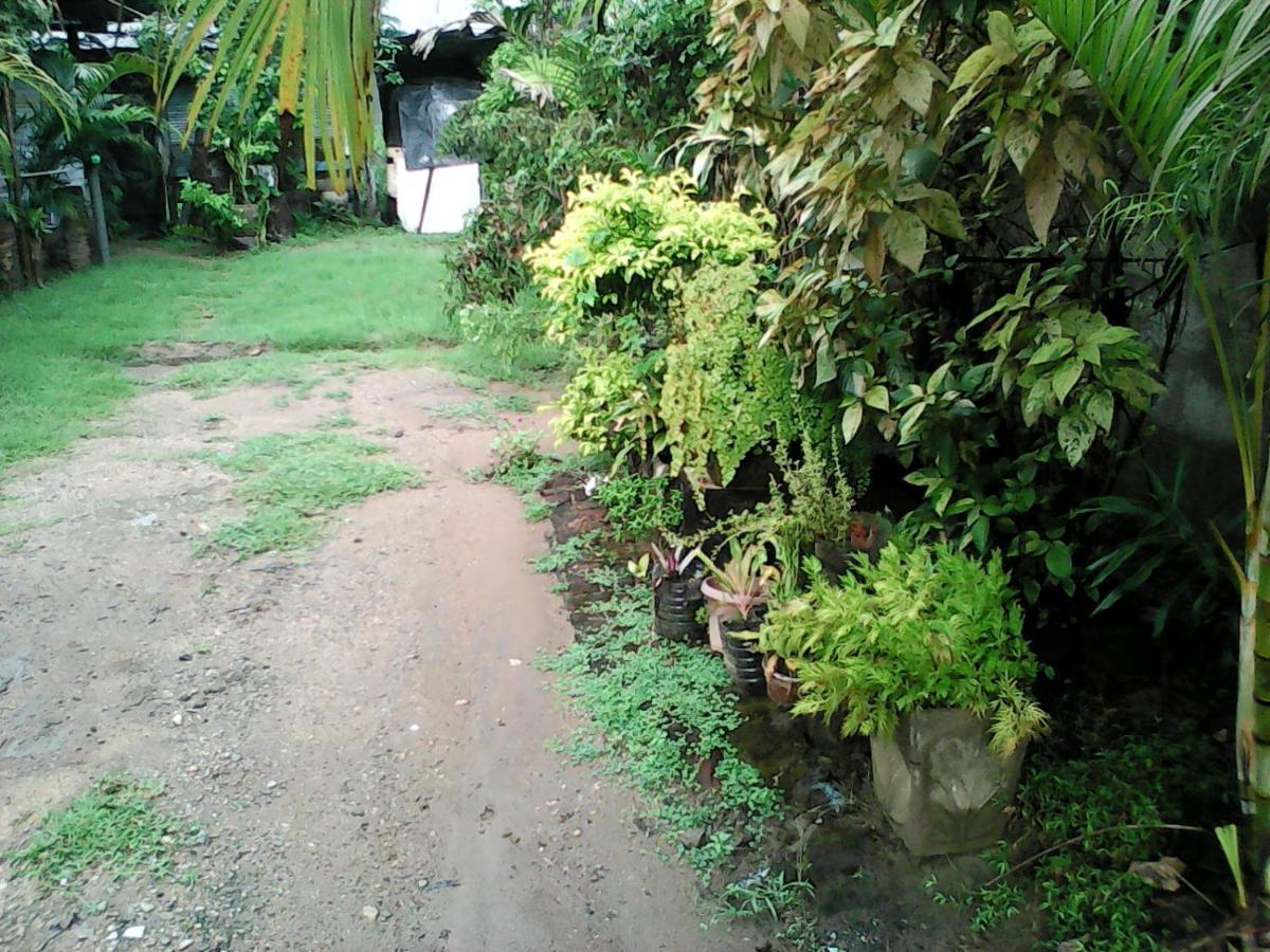 Lotus Inn Tourist Resort Dambulla Esterno foto